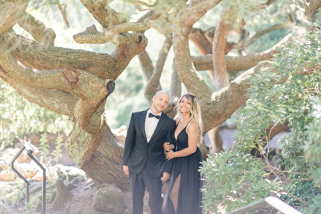 Couple Under tree for engagement session