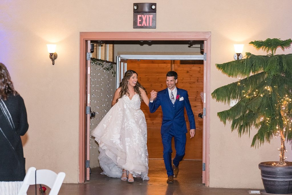Bride and Groom Reception Entrance