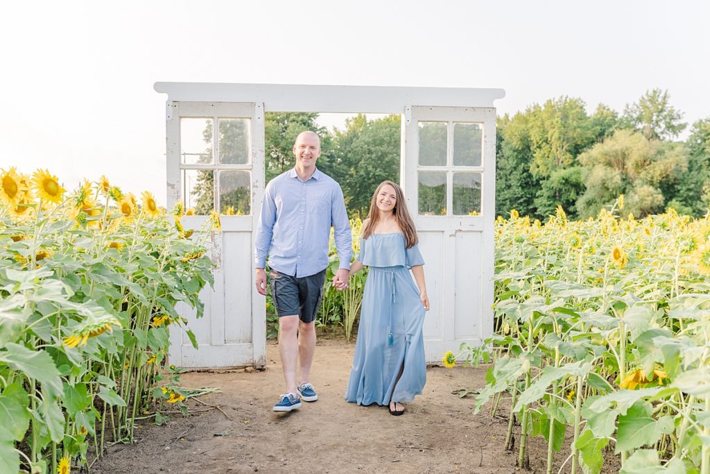 Couple walks in sunflower field