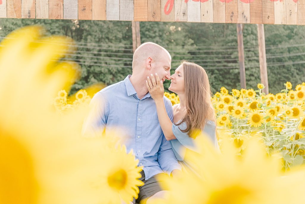 Sunflower Field Engagement Session