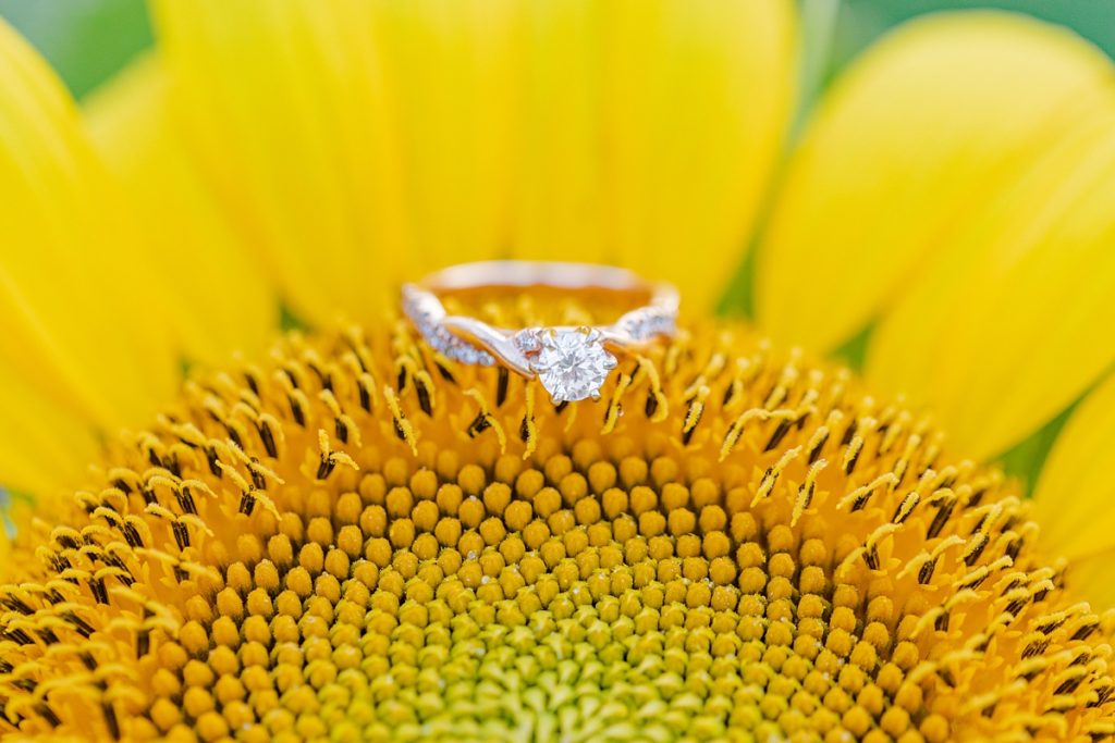 Engagement Ring on Sunflower