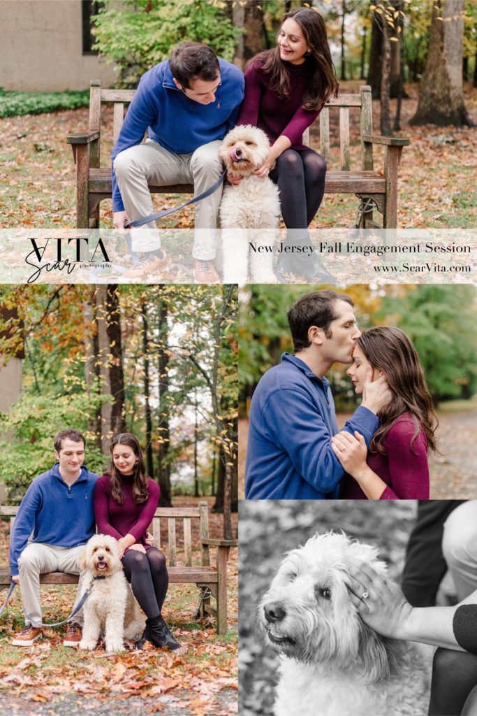 Pinterest Collage of Engagement Photos with Dog