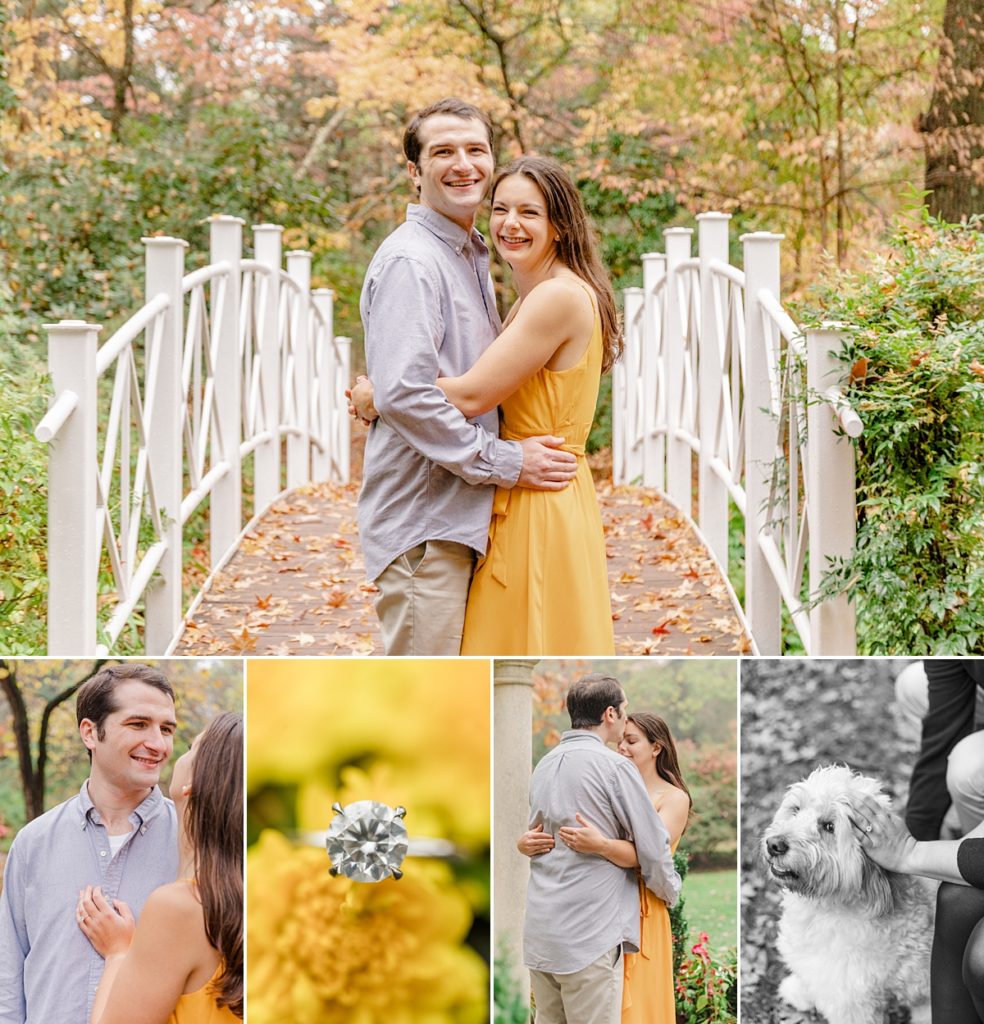 Preview of Engagement Session